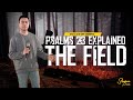 Psalms 23 Explained: The Field | Stephen Prado