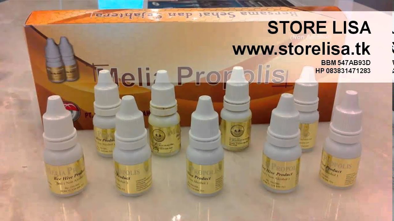 Di Melia Kupang Propolis Di Melia Kupang Propolis