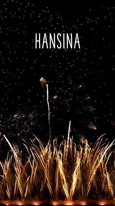 BON ANNIVERSAIRE HANSINA !
