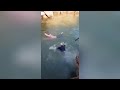 Heroic UK diplomat jumps into water to save drowning woman