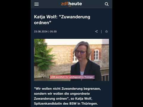 BSW: Ein Wolf