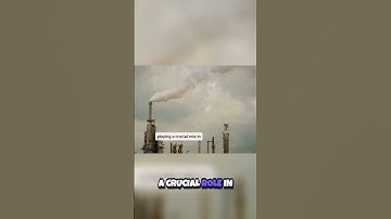 Turning CO2 into Gold  The Future of Carbon Capture 🌍