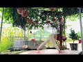 Sunrise Yoga Flow for a Positive Day