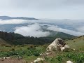 Camping In Varepay کمپ در روستای ورپی واقع در سوادکوه ایران Shorts Camping Iran Nature 