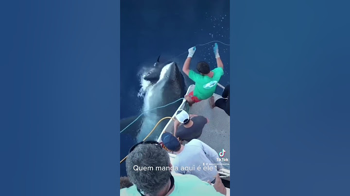 Tubarão Branco ataca peixe de Pescador! #fishing #pesca #fish #fisherman #memes #viralvideo #viral