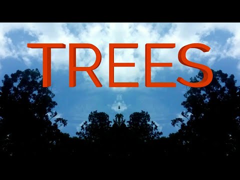 homesteading in nevada Jeremiah's Trees and Clouds - recorded and edited by a 10 year old