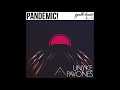 Unyke pavones  pandemic synth house records