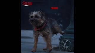Strays | In Theaters August 18 | Promo 4
