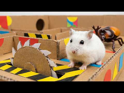DIY Hamster Maze with Traps Hamsters vs Virus 🦠