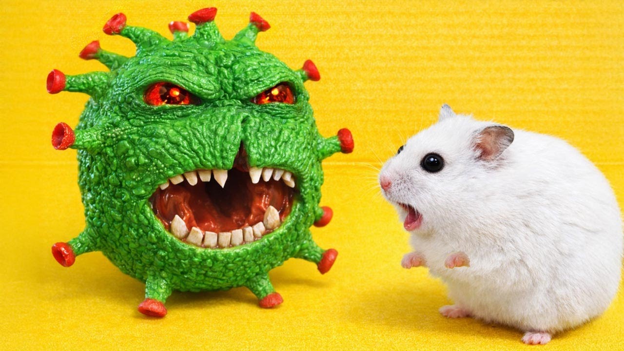DIY Hamster Maze with Traps Hamsters vs Virus 🦠
