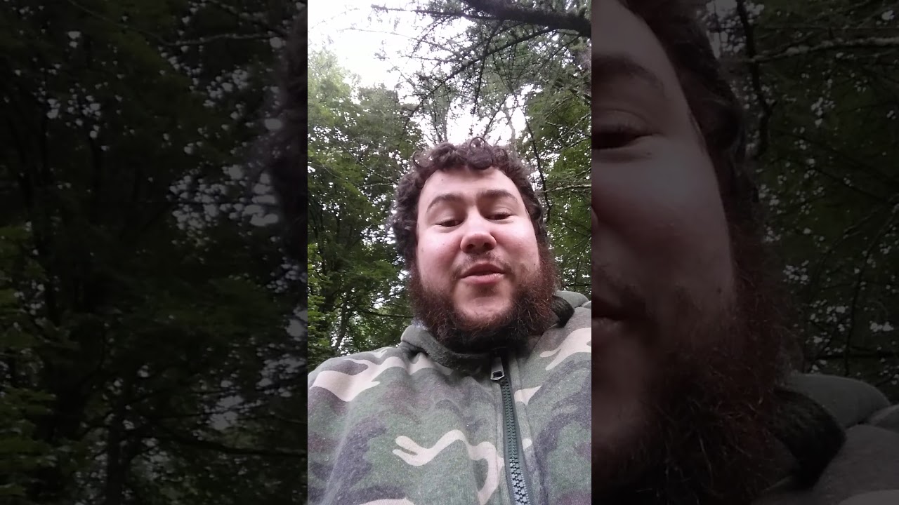 What  is a Niche Edit or Link Insert