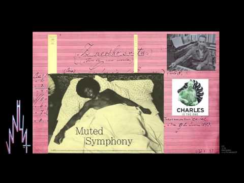 Van Hunt - Muted Symphony