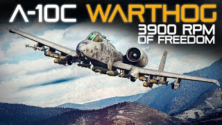 A-10 Warthog 3900 RPM Of Freedom  | The Best Warthog Simulator | Digital Combat Simulator | DCS | screenshot 2