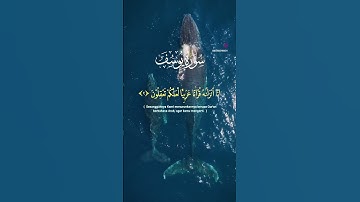 سورة يوسف #الله #دعاء #لايك #اذكار #ترند #اكسبلور #قران_كريم #قرآن_كريم_راحة_نفسية