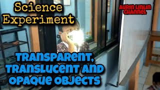 Science Lesson - Light - Transparent Translucent and Opaque Objects