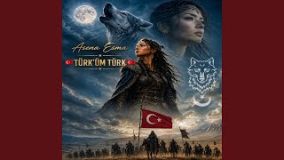Türküm Türk