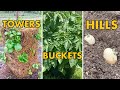 POTATO TOWERS 2020 - Comparing Buckets vs Rows vs Towers - Small Space Backyard Potato Planters