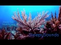 Deep Sea Soundscape – 9 hours of underwater ambience – Deep Ocean Sleep Sounds