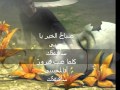 و انت بعيدة عنى للشاعر الدكتور ربيع السايح 