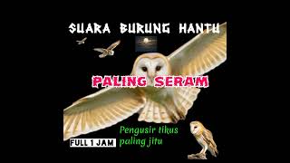 Suara burung hantu paling seram, suara pengusir tikus paling ampuh Suara burung hantu paling seram, suara pengusir tikus paling ampuh