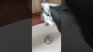 My daily routine shortvideo asmrsounds satisfying asmr cleaningroutine