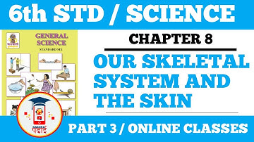 Our skeletal System and the Skin | STD 6th | chapter 8 | Part 3 I Maharashtra board
