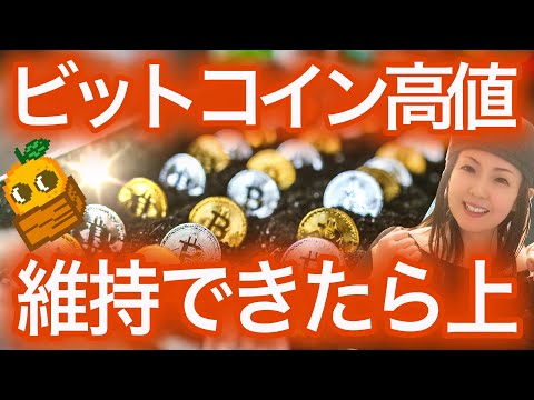 【ビットコイン初心者必見シリーズ】半減期に42000ドルへ? NFTまり