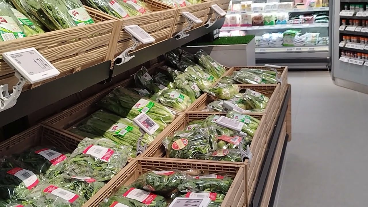 shaw plaza || Singapore shopping mall || burger king || play facto school ||