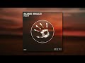 Ricardo Demazzo - Space Groover (Original Mix)