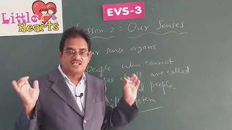 CLASS 3 EVS  LESSON 2 OUR SENSES ONLINE VIDEO
