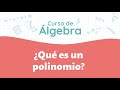 Comprendiendo los Polinomios
