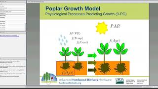 Webinar: Modeling poplar yield and growth in the PNW