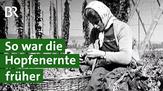 Landwirtschaft früher - von Handarbeit zu Maschinen: Hopfenernte in Bayern | Unser Land | BR