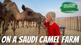 EXPERIENCING SAUDI HOSPITALITY: New Zealand family visiting a Saudi Arabian camel farm!