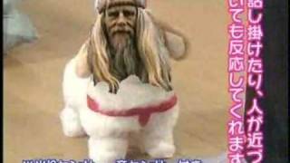 神59歳 愛犬ロボかみ日本直販