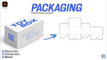 Toy Box Die Line And Packaging Printing Layout in Adobe illustrator HINDI / हिंदी में