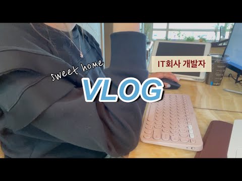 [𝑽𝒍𝒐𝒈 #3] 직장인 재택근무 브이로그,개발자 브이로그,일상 브이로그,홈메이드 치킨,일하고 먹는 별거없는 Daily..