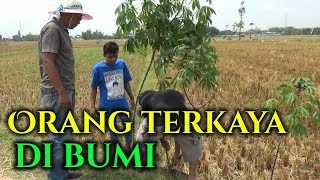 WAGU Ndeso - ORANG TERKAYA Di BUMI