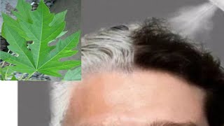 My 65 Years Father Applied Natural Dye Once A Week & Covered White Hair Naturally | White hair