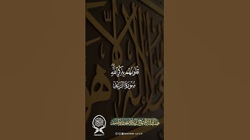 سورة الرعد · ﴿ الَّذِينَ آمَنُوا وَتَطْمَئِنُّ قُلُوبُهُم بِذِكْرِ اللَّهِ ۗ أَلَا بِذِكْرِ اللَّهِ