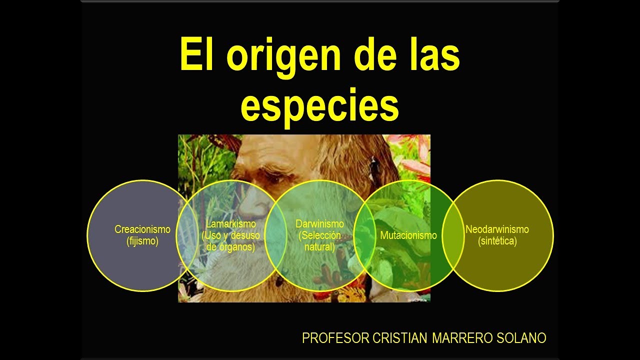 Origen de las especies - YouTube