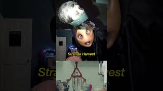 Horror movies only the most diehard fans have seen
