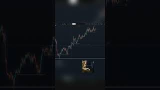 USDCAD Long May 20, 2026 #trader #btc #liquidation #memestrading #eth #trading #shorts