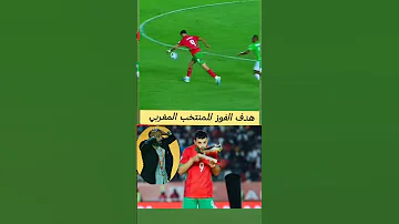 السكيتيوي شد في راسو مصدقش الهدف 