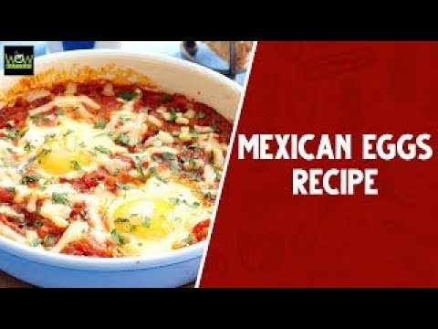 Mexican Egg Curry   Quick And Easy Egg Curry Recipe   Best Continental Foods 2022   WOW Recipes