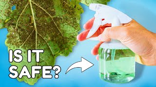 This Popular Pest Control Can KILL Your Plant