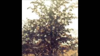 5) Ex confusion - Speak softly in my dreams