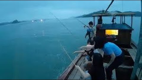 Hai bố con rủ nhau ra hồ cấu cá, về quê đi câu cá cùng các chú