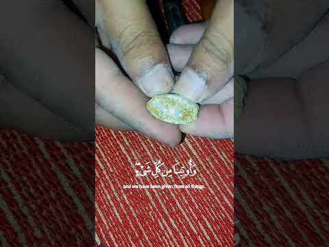صباح الرزق الحلال ياربي لك الحمد         