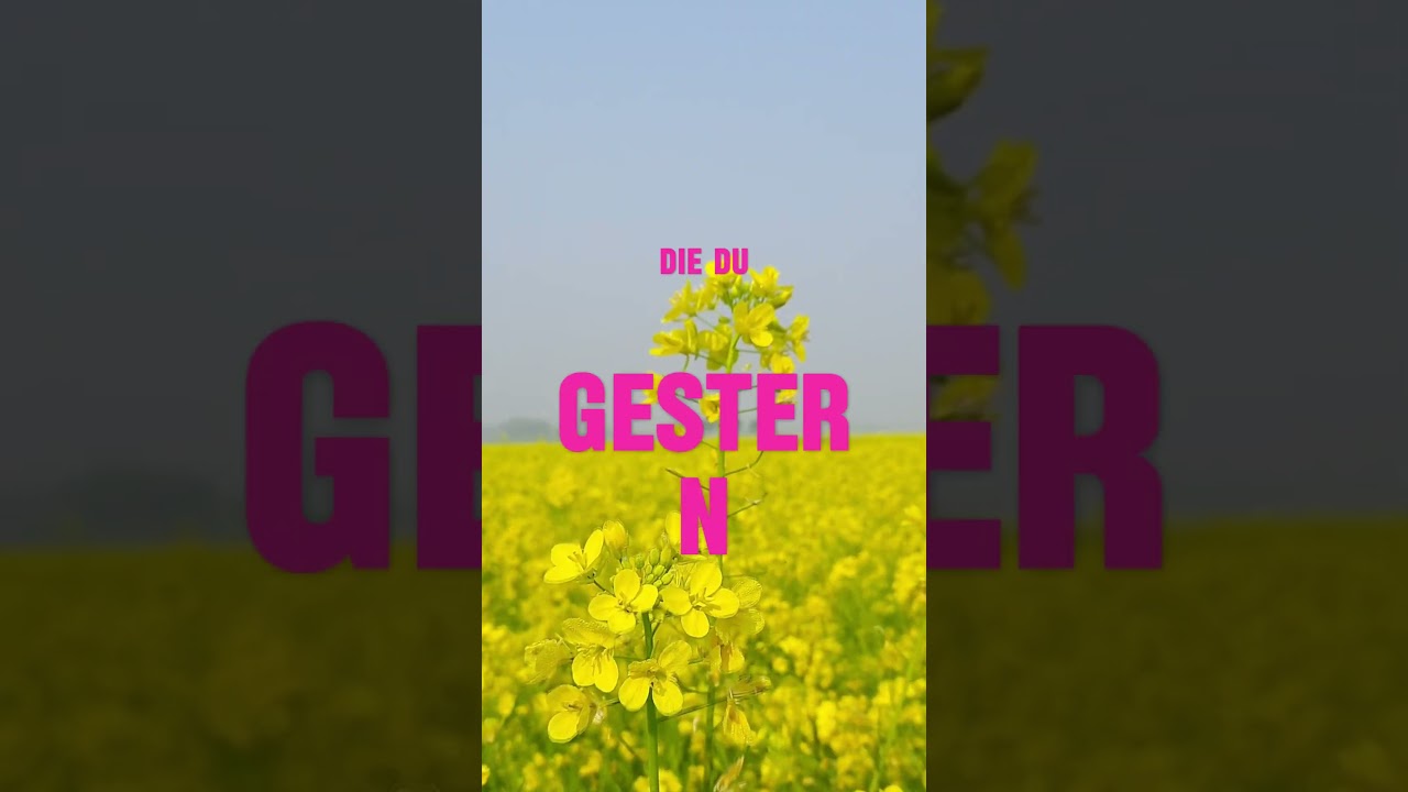 ✨ Herzerwärmende Mittwochs-Vision | Motivation & positive Energie für dich